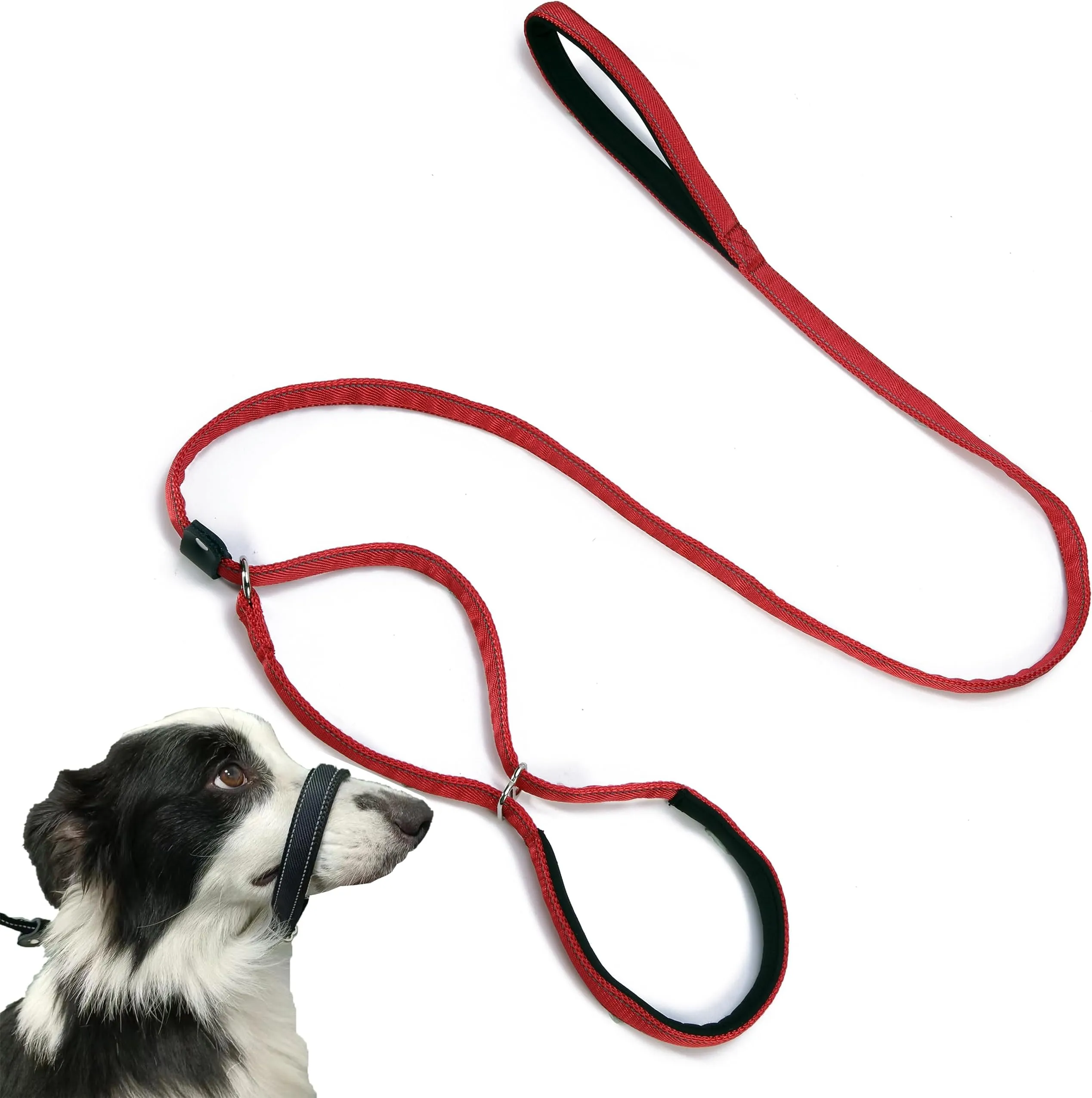 Figure Dog Halter Leash: Reflective, Multifunctional Training Lead Shop  Now! - Main Image