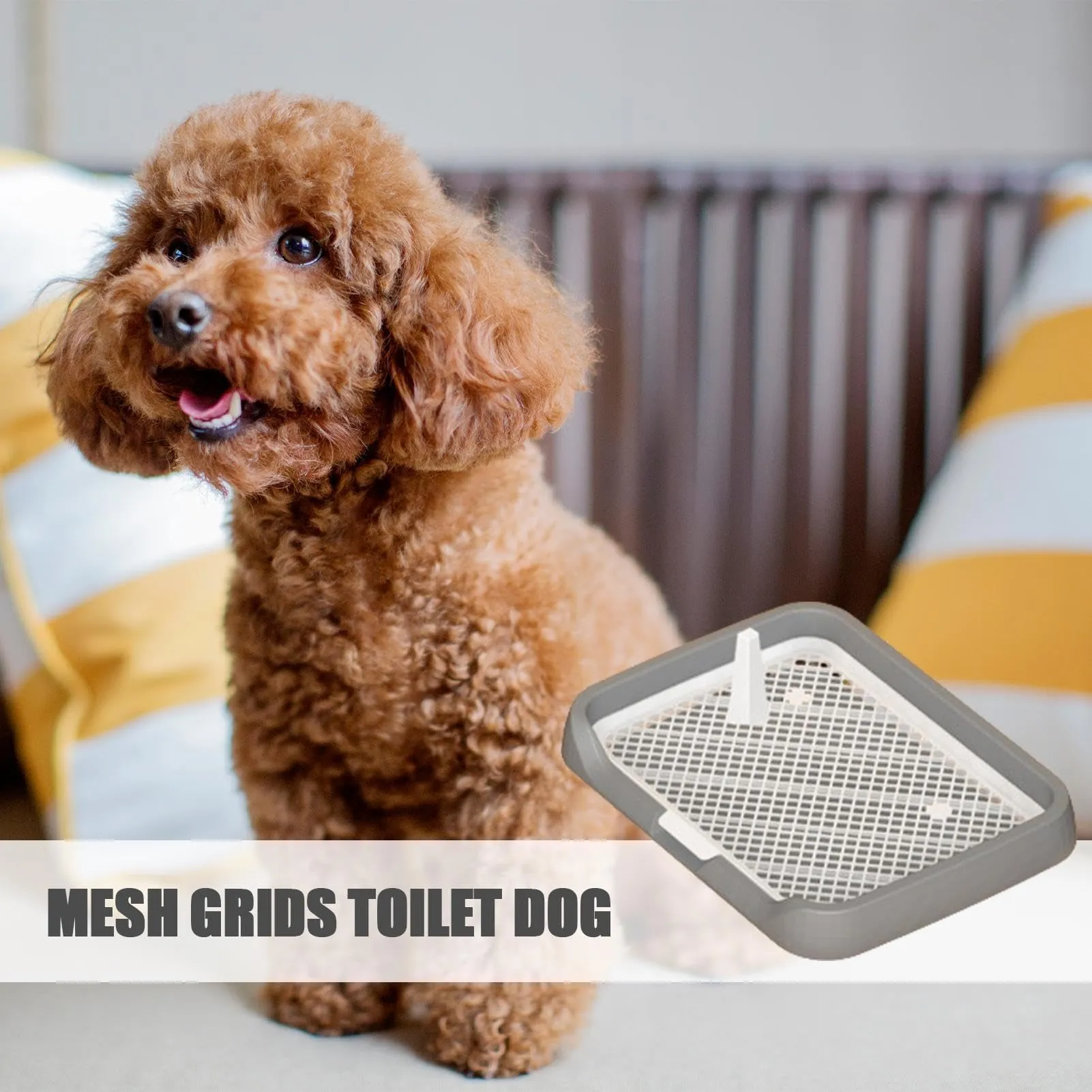 Pet Training Tray Holder – Removable Mesh, Easy Clean, For Dogs & Cats Up To 80LBs