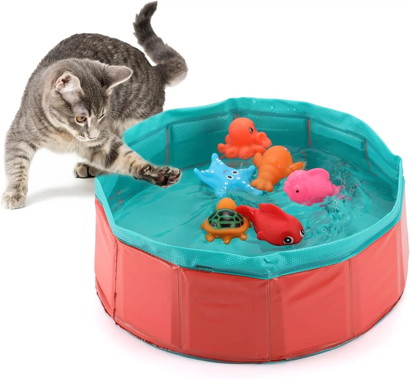 Interactive Cat Toys For Bored Cats: Portable Play Pool With