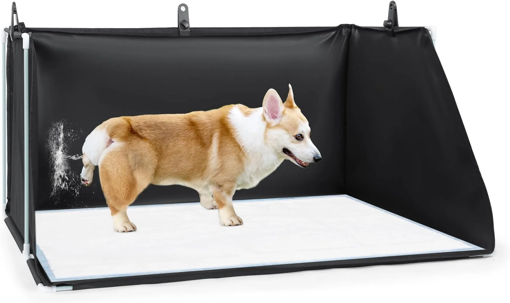 Motorsportdanmark Dk Exotic Pet Stores Near Me Motorsportdanmark