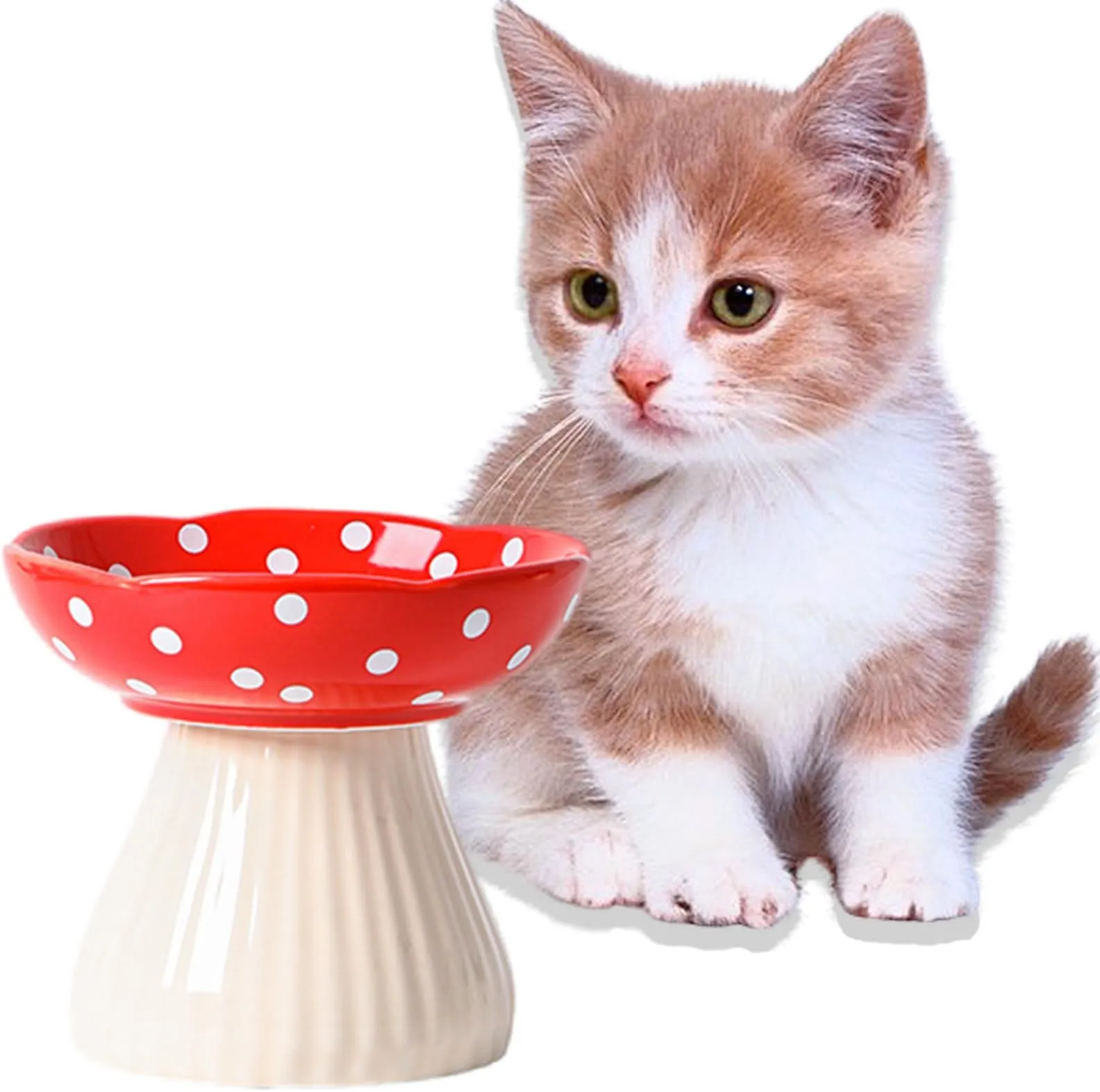 Raised Cat Food Bowl: Wide Shallow Ceramic, Whisker-Friendly