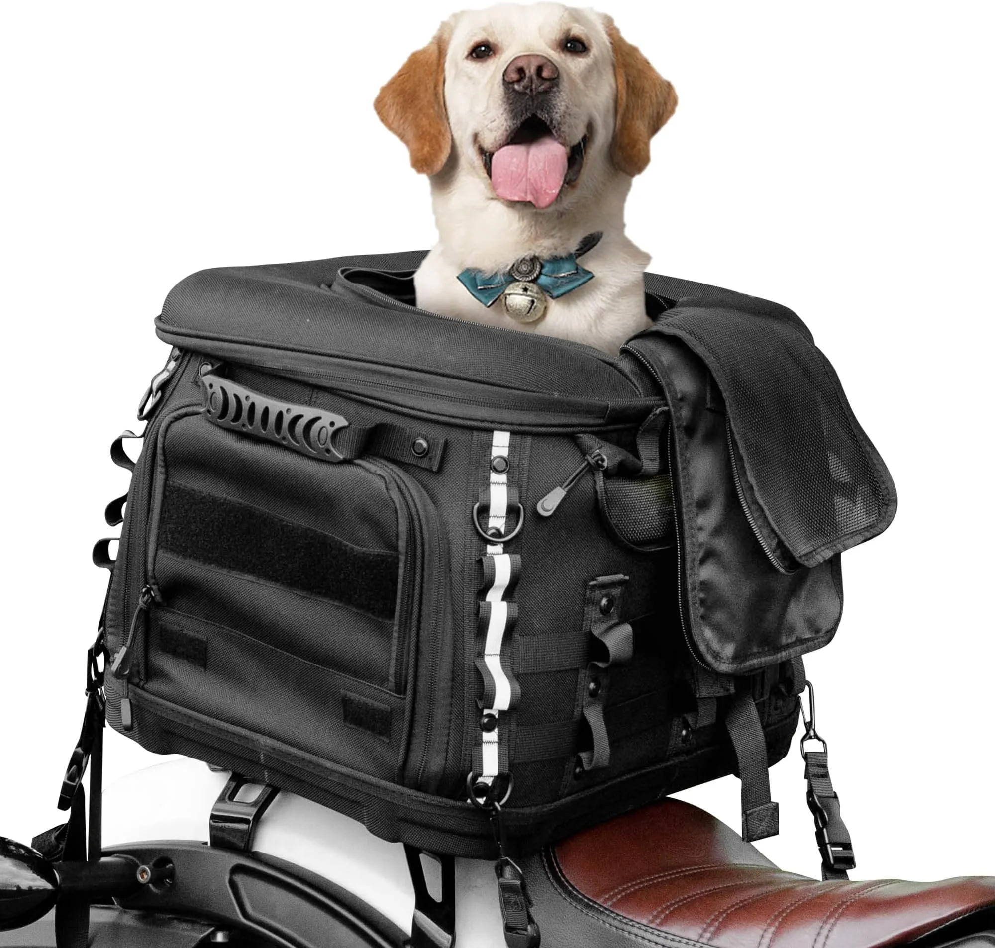 Amazon Harley Davidson Cat Collar Harley Davidson Dog Collars