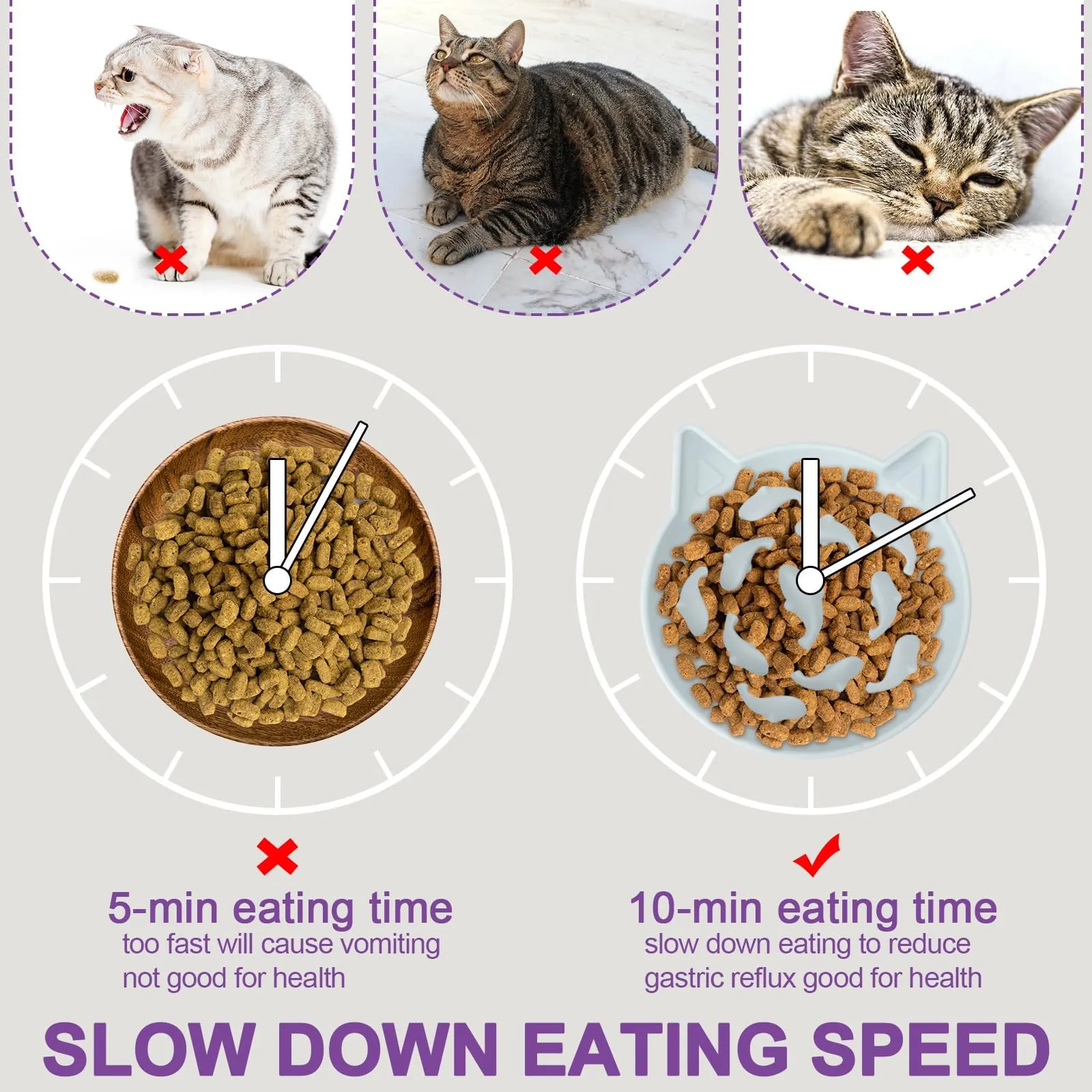 Cat Eats Wet Food Too Fast Elevated Slow Feeder Cat Bowl