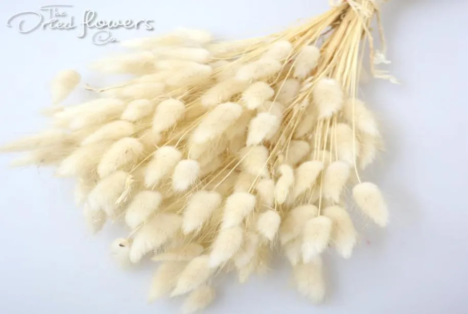 150Pcslot Dried Flowers Home Decor Natural Plants Bouquet Lagurus Ovatus Wedding Home Easter Decoration colorful Real Flowers C119443108