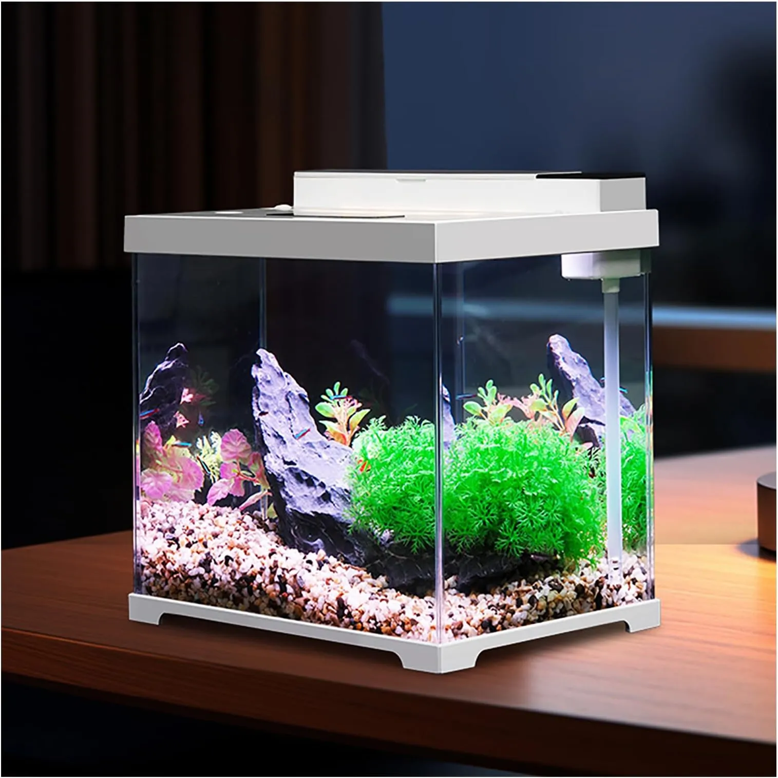 Mini Glass Aquarium with LED Light - Small Fish Tank Starter Kit ...