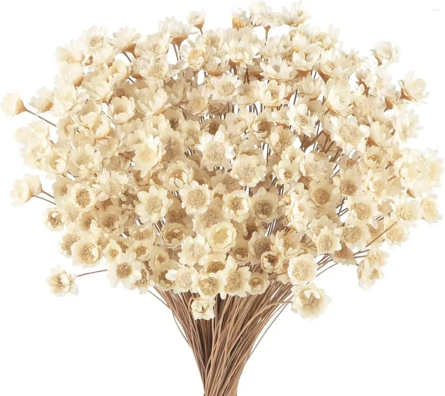 Fleurs décoratives 100 pcs Bouquet séché Bouquet blanc fleur de fleurs sauvages florales Brésilien petite étoile pour mariage