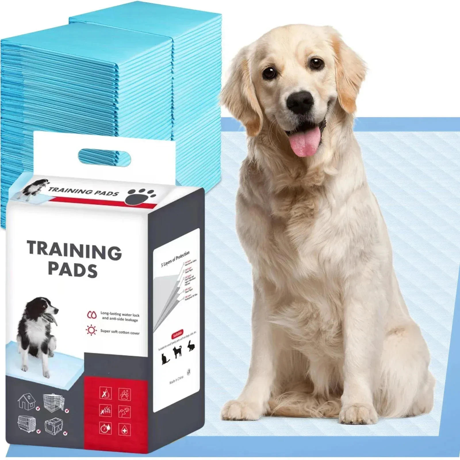 Boîtes Pet Diaper Dog Training Peed Pads Super Absorbency Puppy jetable avec une surface rapide de la fuite de fuite 6.