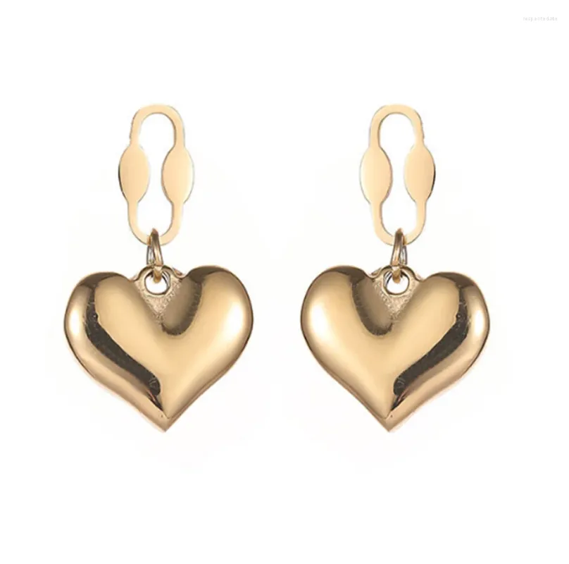 Boucles d'oreilles étalon 316L