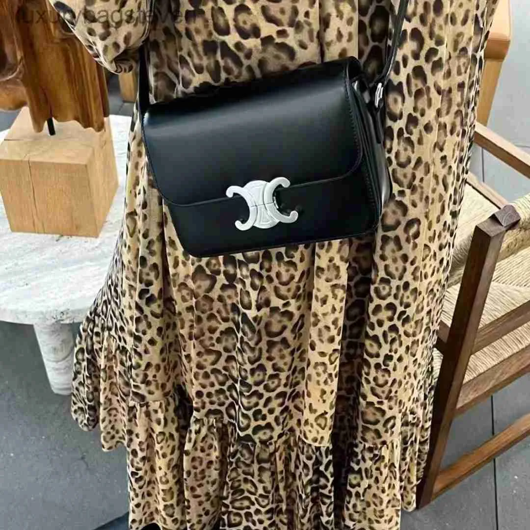 Высокий уровень оригинальные дизайнерские сумки Cellin Fashion New Fashion Box Bag Bag Tofu Bag Womens Plound Crossbody Bag Кожаная маленькая квадратная сумка с логотипом бренда