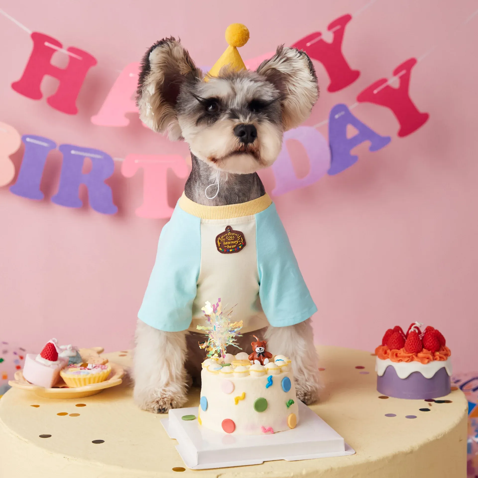 Hemden Haustier Geburtstag Coat Designer Hemden für kleine Hunde Yorkie Chihuahua Shih Tzu maltesische Teddy Luxus süße Welpenkleidung zum Geburtstag