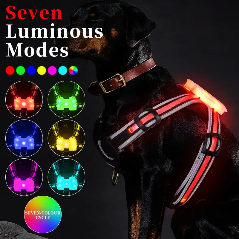 Harnesses LED Dog Harness Pet Rechargeable Adjustable Flashing Waterproof Collar Night AntiLost Dog Light Harness luminous dog collar