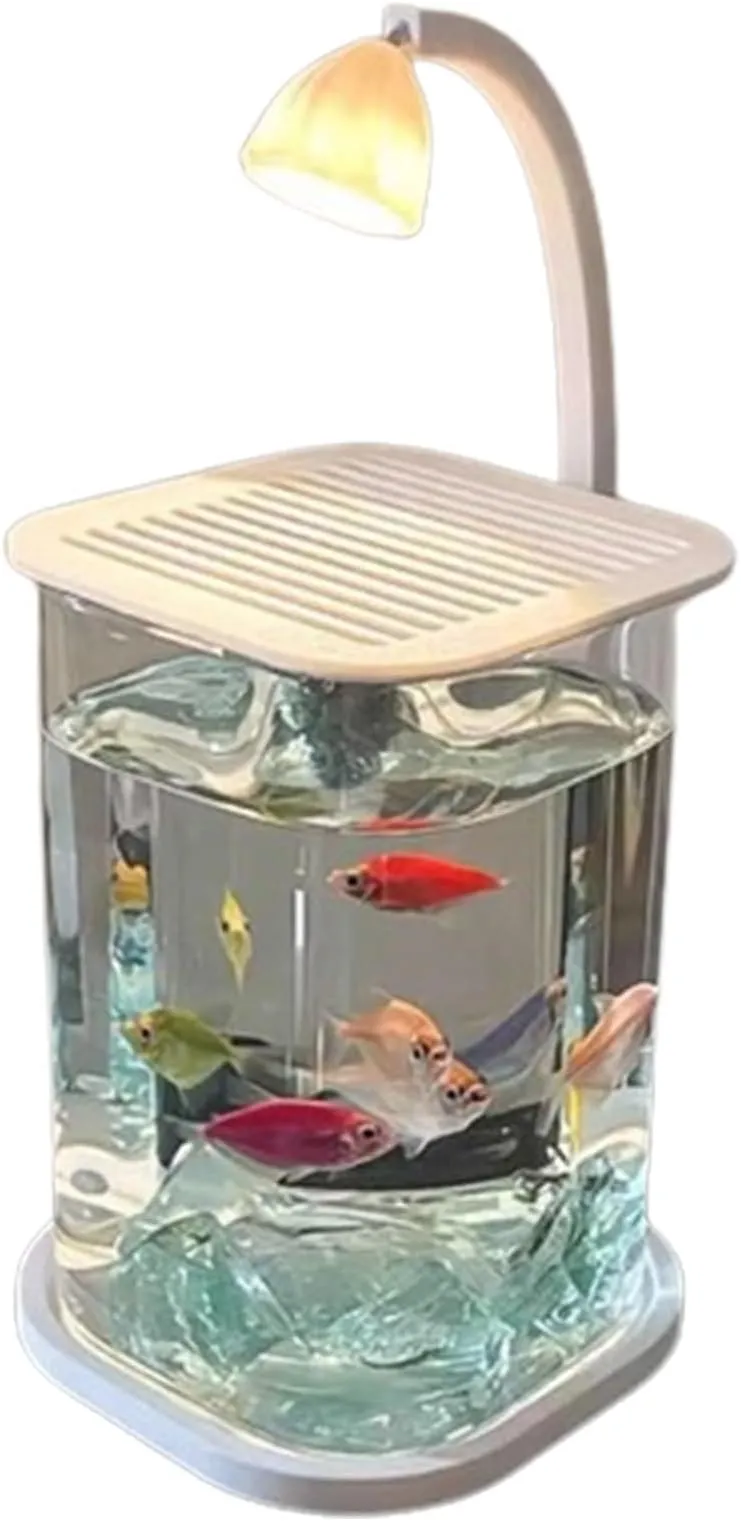 Small Funky Tank Small Decorative Fish Tank Kit with LED Light & Scene Decorations ...