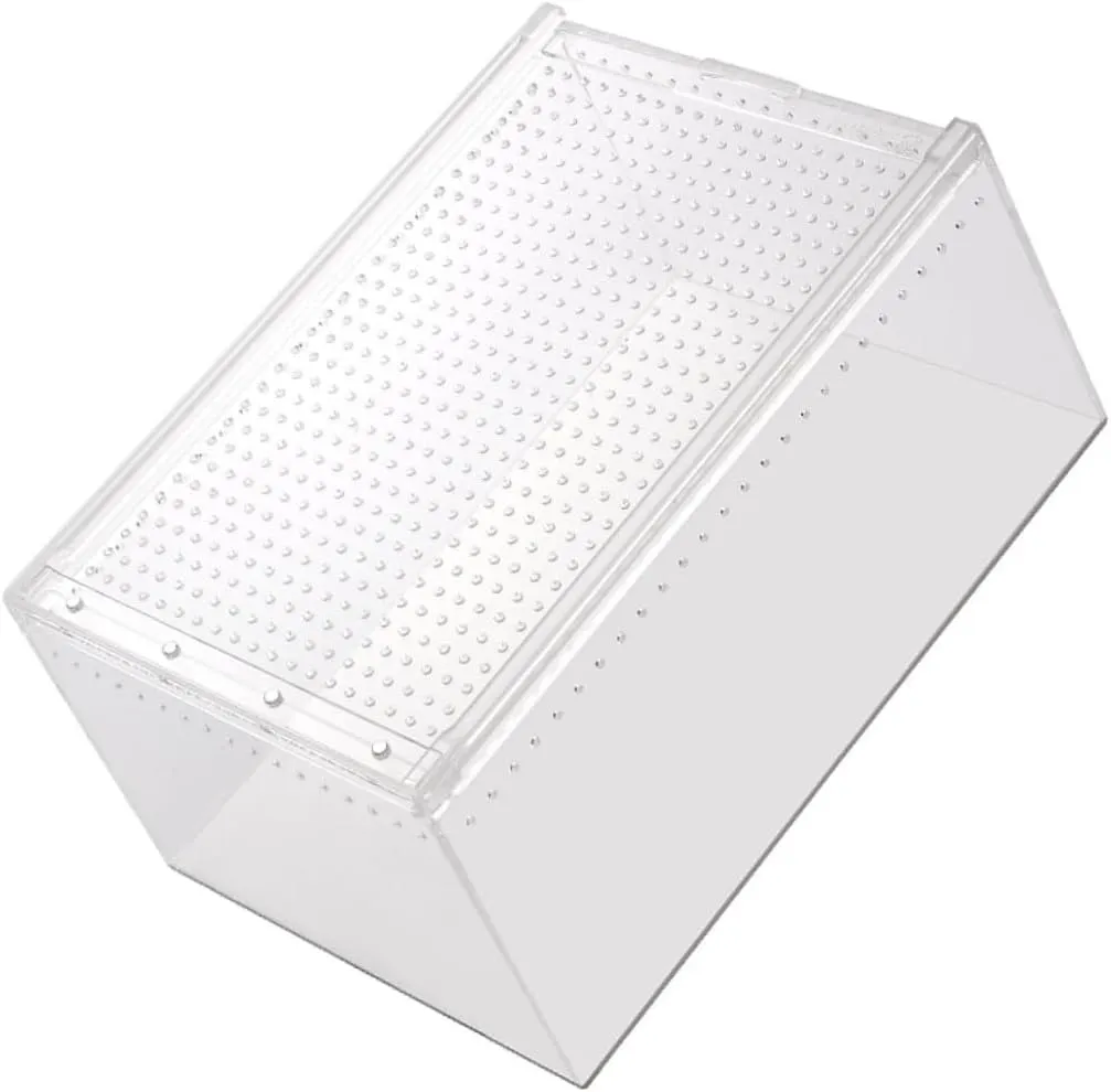 Crickets For Pet Snake Nutrition And Health Reference: Transparent Acrylic Reptile Terrarium Ideal For Snakes Crickets