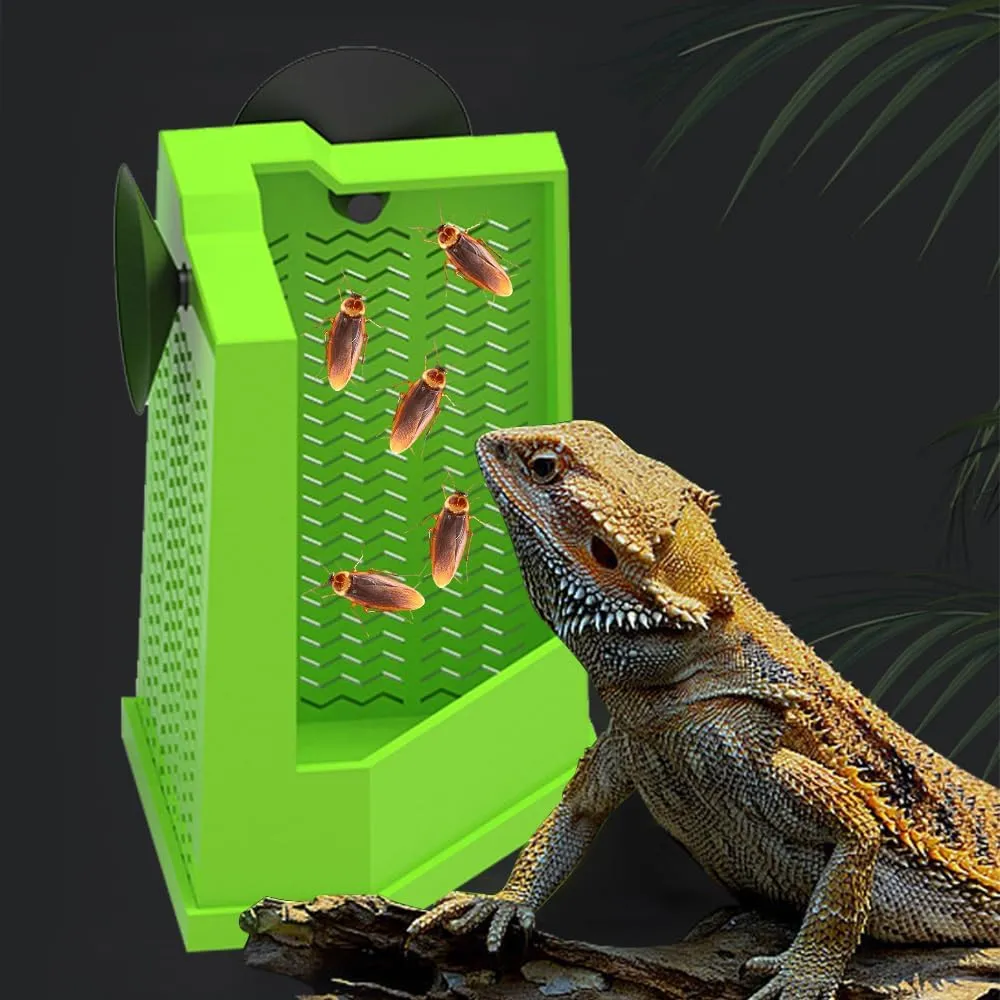 Anti-Escape Reptile Feeding Box Secure Food Water Bowl for Bearded Dragons, Lizards More! Shop Now!