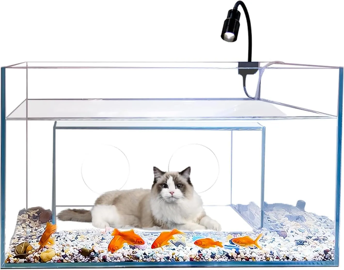 30-Gallon Cat Fish Tank Bed Combo Toughened Glass, Ready to Use!  Premium Quality, Shop Now!