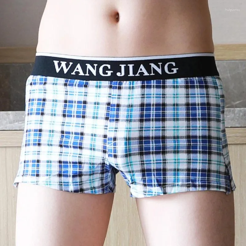 Underpants Boxers Underwear Cueca Men Shorts Plus Size Male Sexy Gay Mens Boxershorts