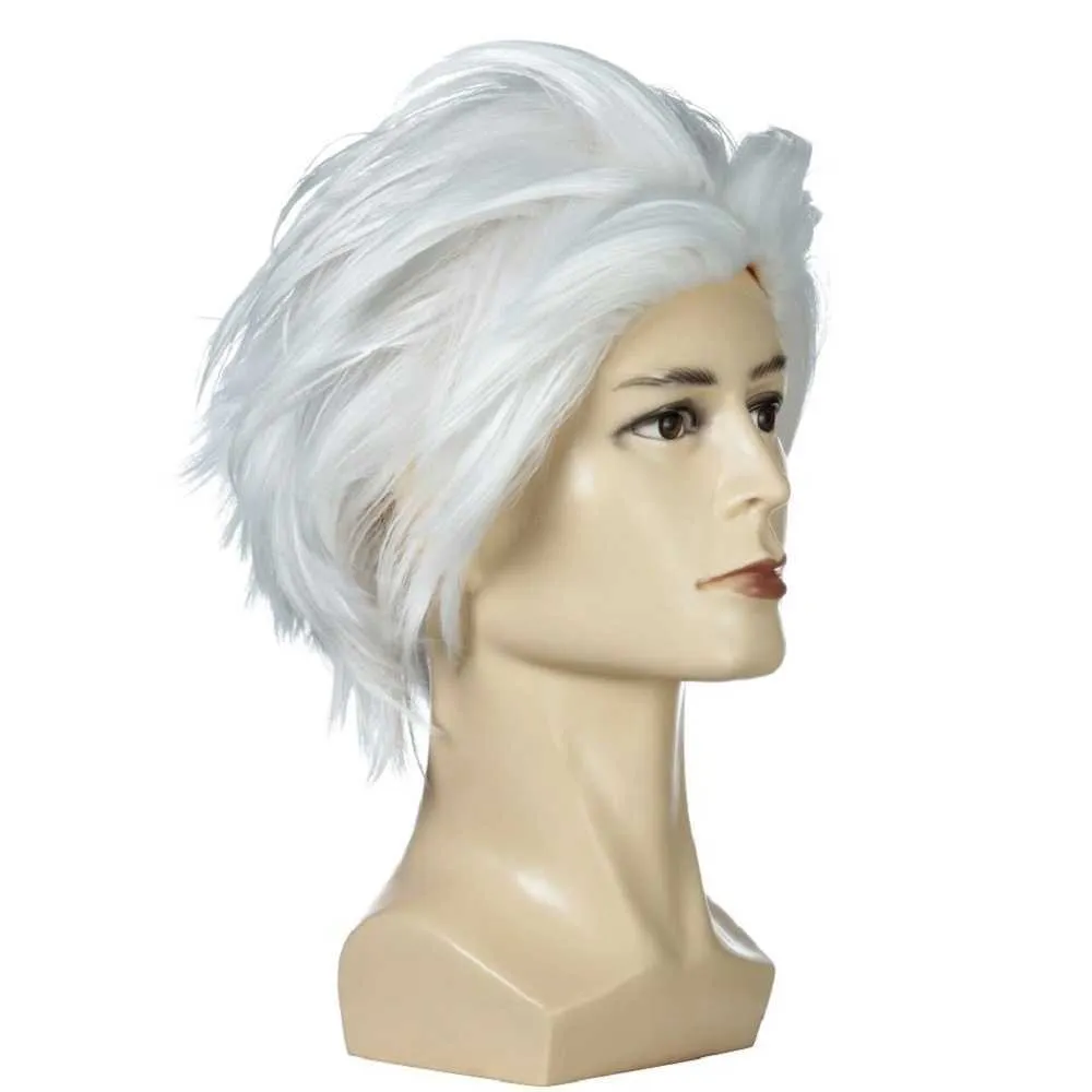 WIG-311D.jpg