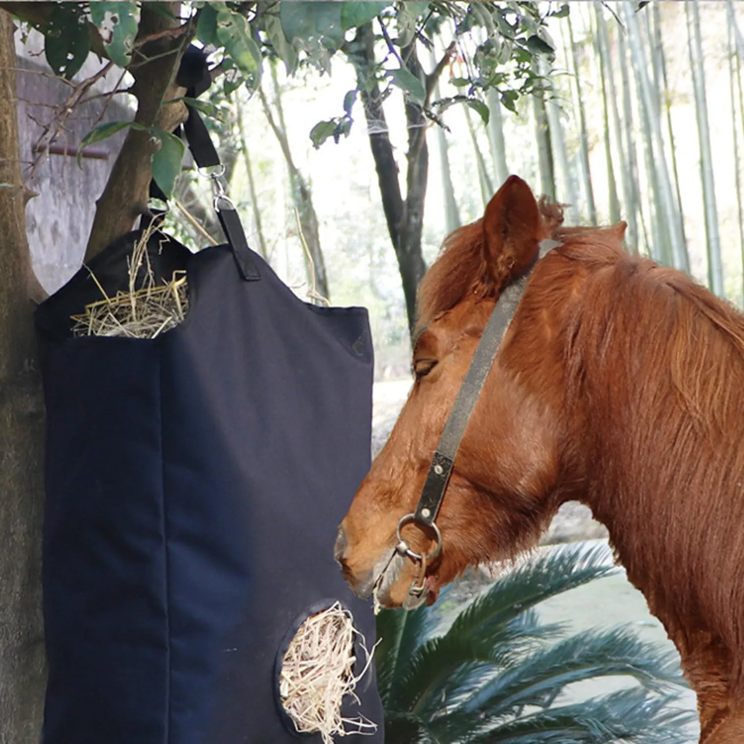 Sacco Da Fieno Per Cavalli Horse Feed Bag - In Nylon 600D Impermeabile, Con Clip, Dimensioni ~100x30 Cm