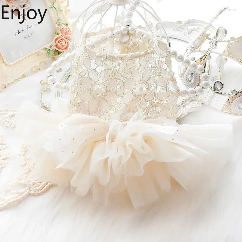 Abbigliamento per cani Summer Out Out Lace Cat Cat Princess Dress Creamy Wedding Fluffy Skirt Piet 4773