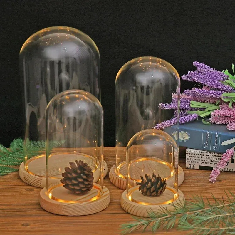 Glazen koepel houten basis container tafelblad display glazen deksel droge bloem ornamenten ambachtelijke stof bel jar terrarium landschap vaas 240423