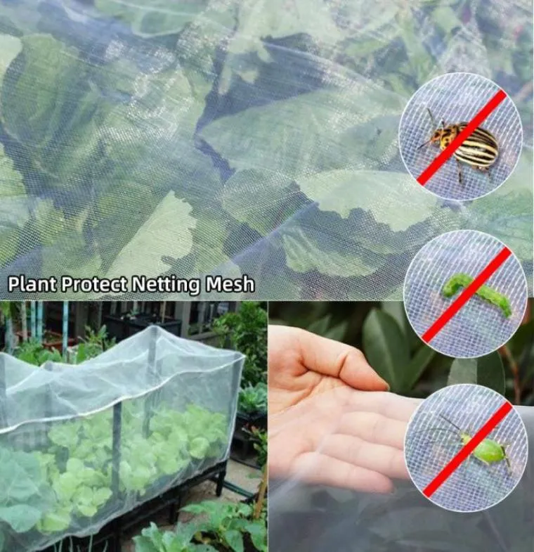 Outros suprimentos de jardim Proteção de plantas de grande colheita Rede de rede de pragas de pássaro Inseto Cuidado com vegetais de animais grandes redes de malha 25x10m Fast79998818