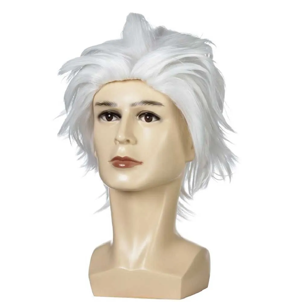 WIG-311B.jpg