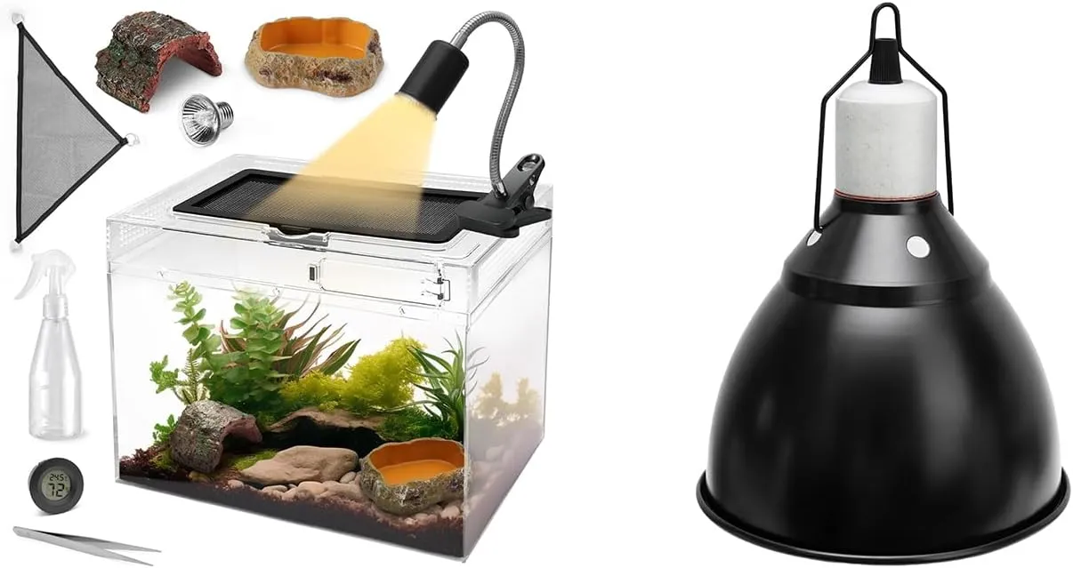 Reptile Starter Kit: Glass Reptile Tank Heat Lamp Fixture Combo