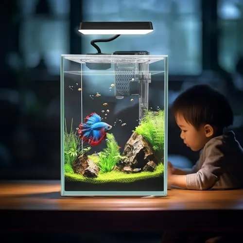 Ultra Clear Glass Gallon Small Aquarium Starter Kit LED