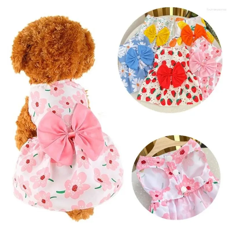 Hondenkleding lente zomer prinses jurk kitten pet rok schattig boog kant voor kleine medium puppy poodle chihuahua