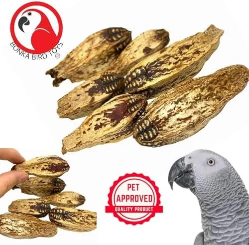 Bonka Bird Toys Big Stick 4 Ball Parrot Toy - Foot Talon Chew Craft For African Greys & Conures