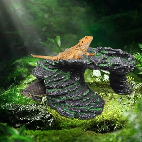 Hamiledyi Reptile Driftwood Decor – Natural Wood Branch Hideout For Bearded Dragon, Lizard Tank, Spider Habitat - View #2