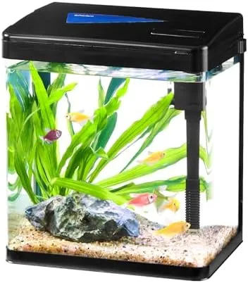 CHERLAM 2 Gallon Betta Fish Aquarium Near Me With Filter Pump Light CHERLAM 2 Gallon Betta Fish Aquarium Near Me With Filter Pump Light