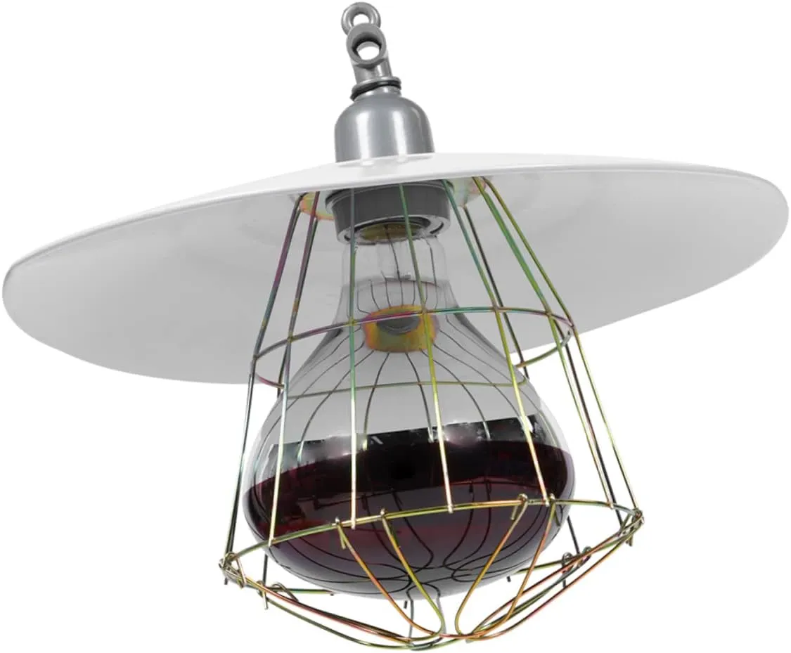 Reptile Heat Lamp: Premium Ceramic Heat Emitter for Terrariums  Shop Now!