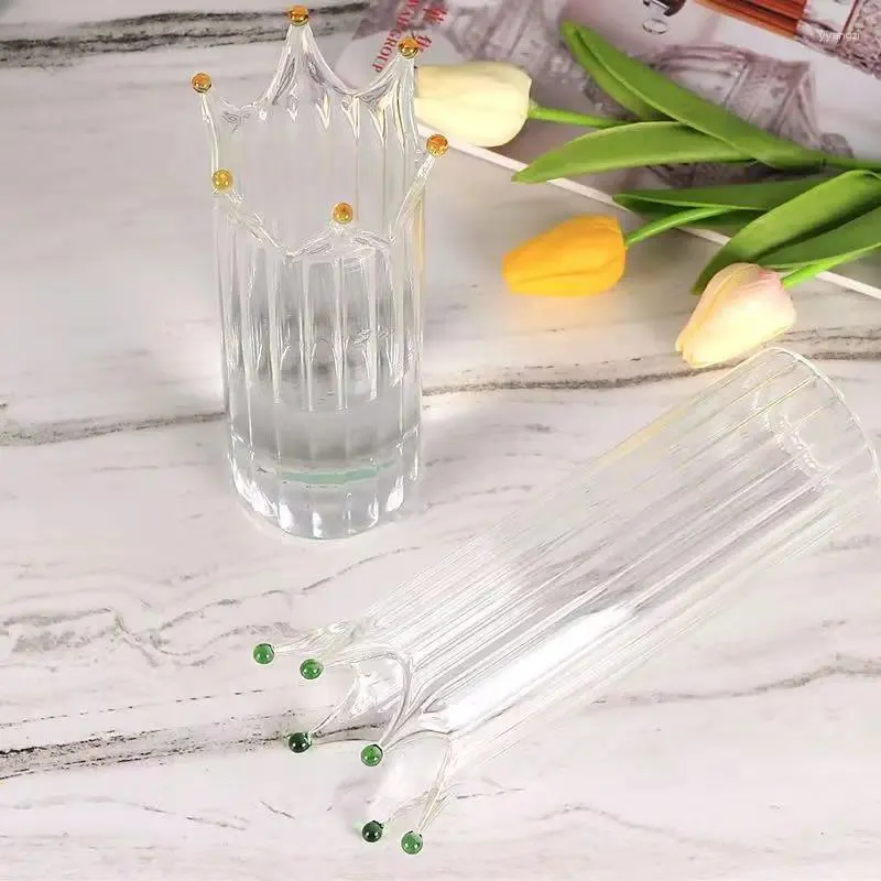 Vazolar 21cm yüksek Nordic yaratıcı cam taç bitki şişesi saksı kap