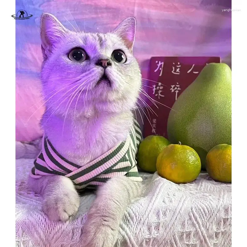 Trajes de gato roupas de atacado fino fino listrado com colete sem mangas Muppet azul