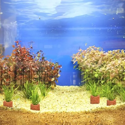 Aquarium drijfplanten ring 9-12 of 21 cm zwart of groen | ShrimpMania