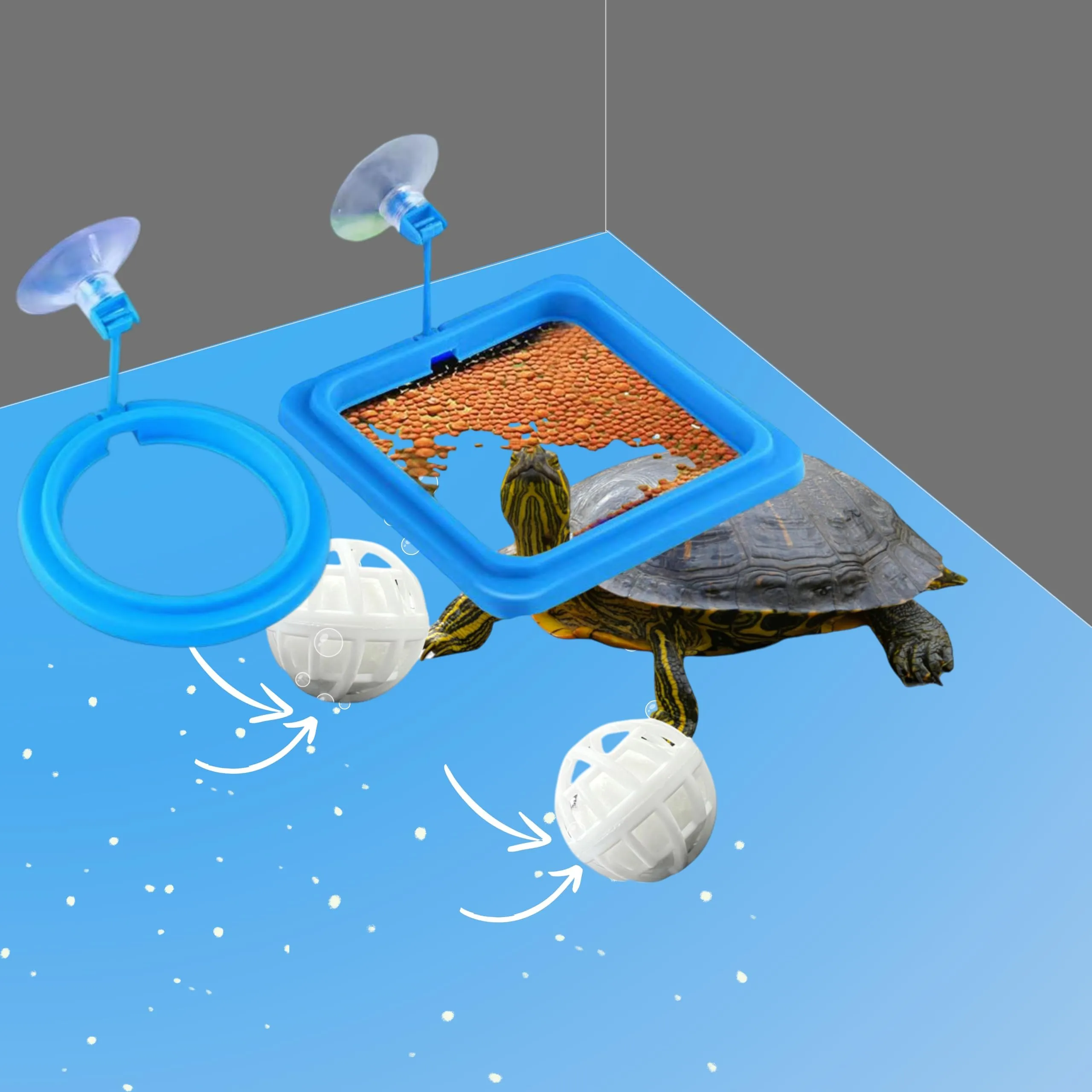 Wholesale Aquatic Feeding Ring Set: Square Circle Food Holder