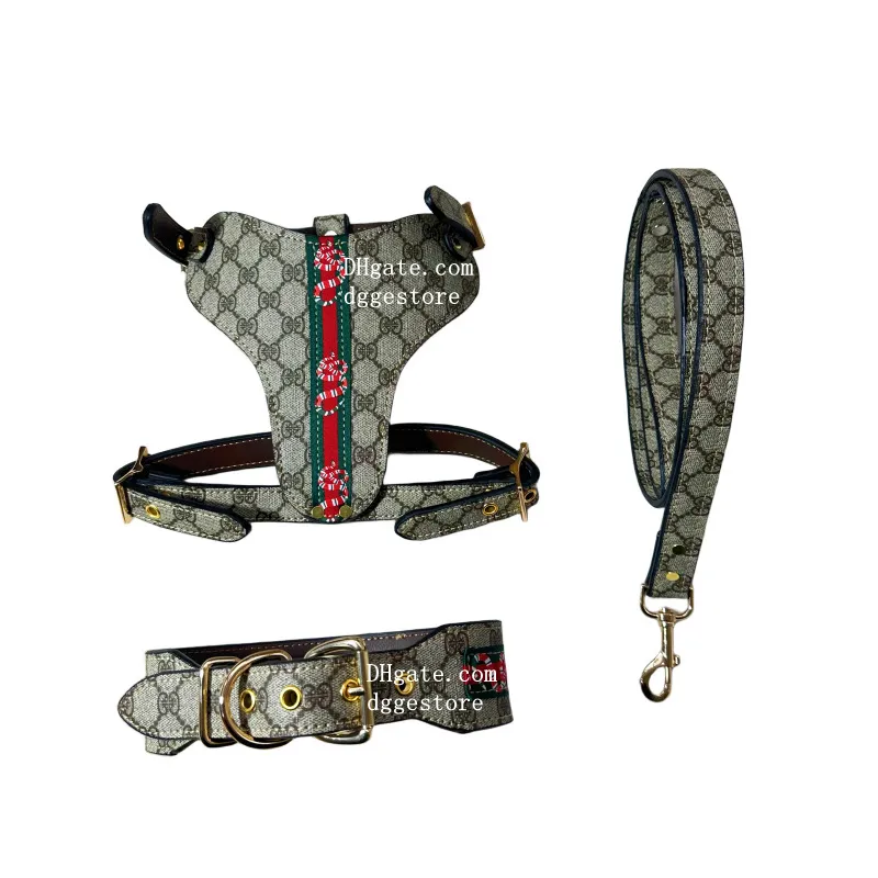 Designer hondenharnas kragen riem set geen pull lederen hondenharnas met modieuze printpatronen voor Franse bulldog, pitbull, mastiff, bokser, bull terrier xl b235