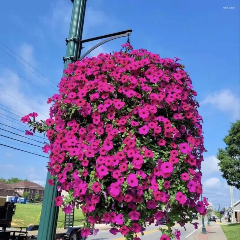 Flores decorativas Petunia Petunia Plantas duraderas Centro de gloria de gloria de la mañana elegante para la oficina en casa