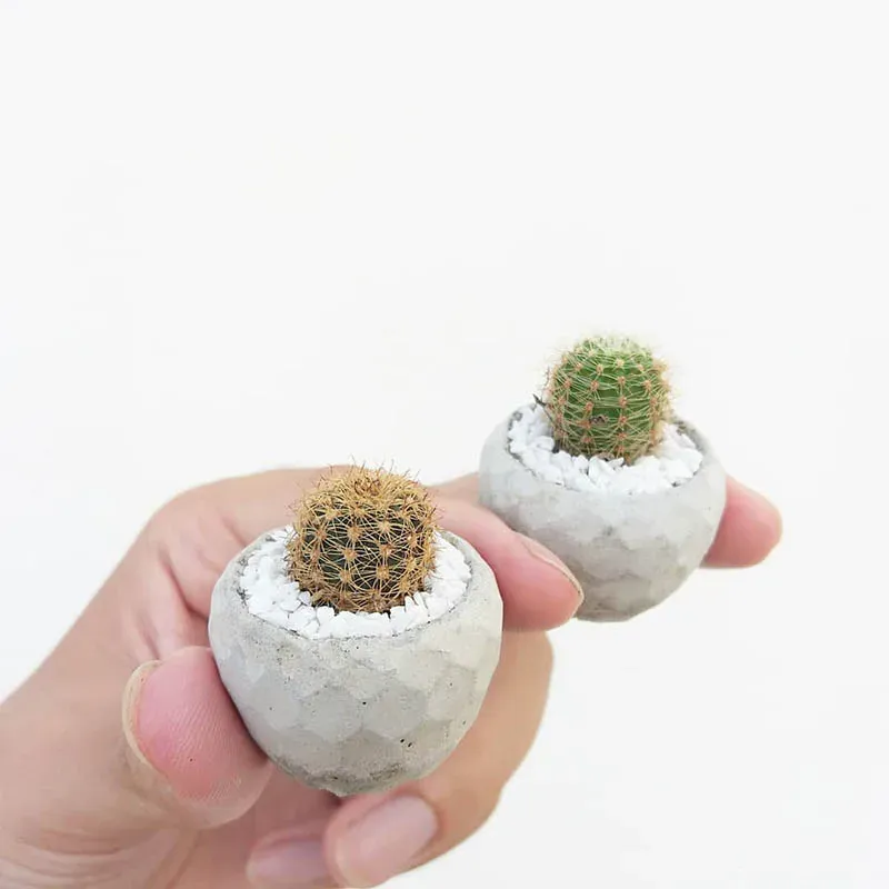 Bougies mini-moules en vase en silicone moules en béton pour plantes Poux de doigts de fleur moules de bol en plâtre moules de bougie