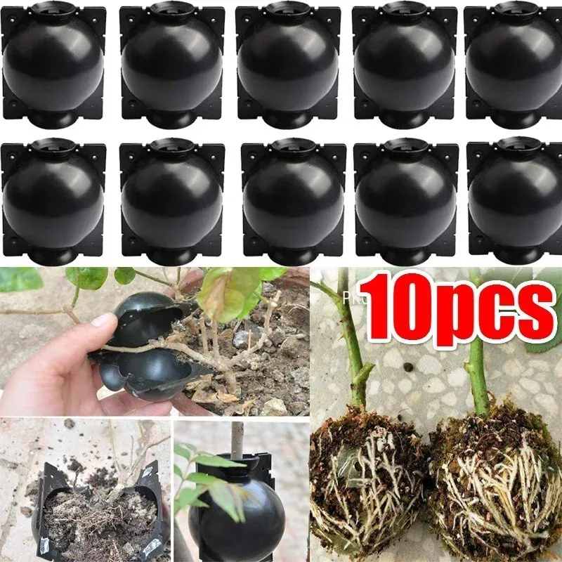 Outils 10pcs Racine de plante réutilisable Boîte de croissance Coupure Greffing Raconing Ball Garden Racarisation Propagation Boule d'équipement de reproduction