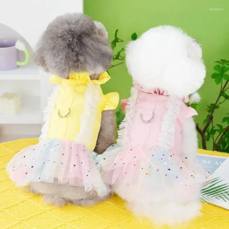 Girl Dog Birthday Tutu Dress With Hairpin - Princess Outfit For Small Dogs & Cats (X-Small, White)