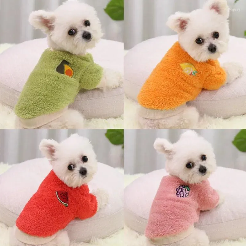 Abbigliamento per cani vestiti invernali per cagnolini da ragazzo ragazza Yorkie Chihuahua Warm flanella maglione cucciolo di abbigliamento da gatto t-shirt