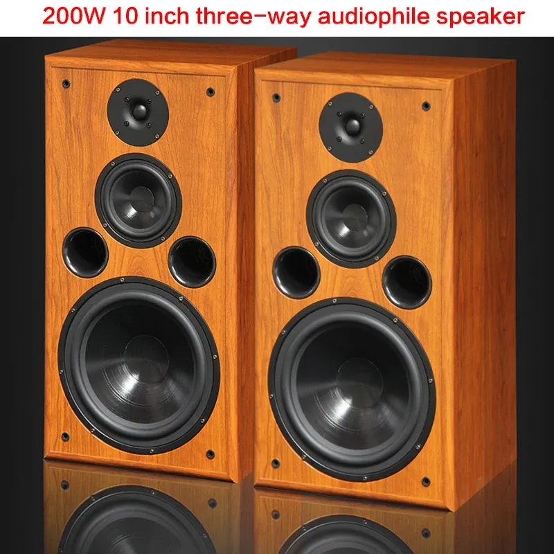 Conférenciers 200W 10inch Highpower Audio Conférencier troisways Bibs à libris