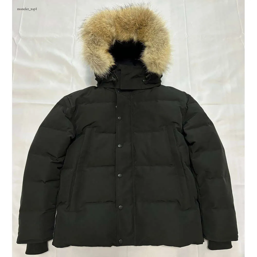 Kan män designer canada puffer jackor real wolf päls utomhus wyndham vindbrytare jassen ytterkläder huva fyrrure manteau down jacka kappa hiver parka