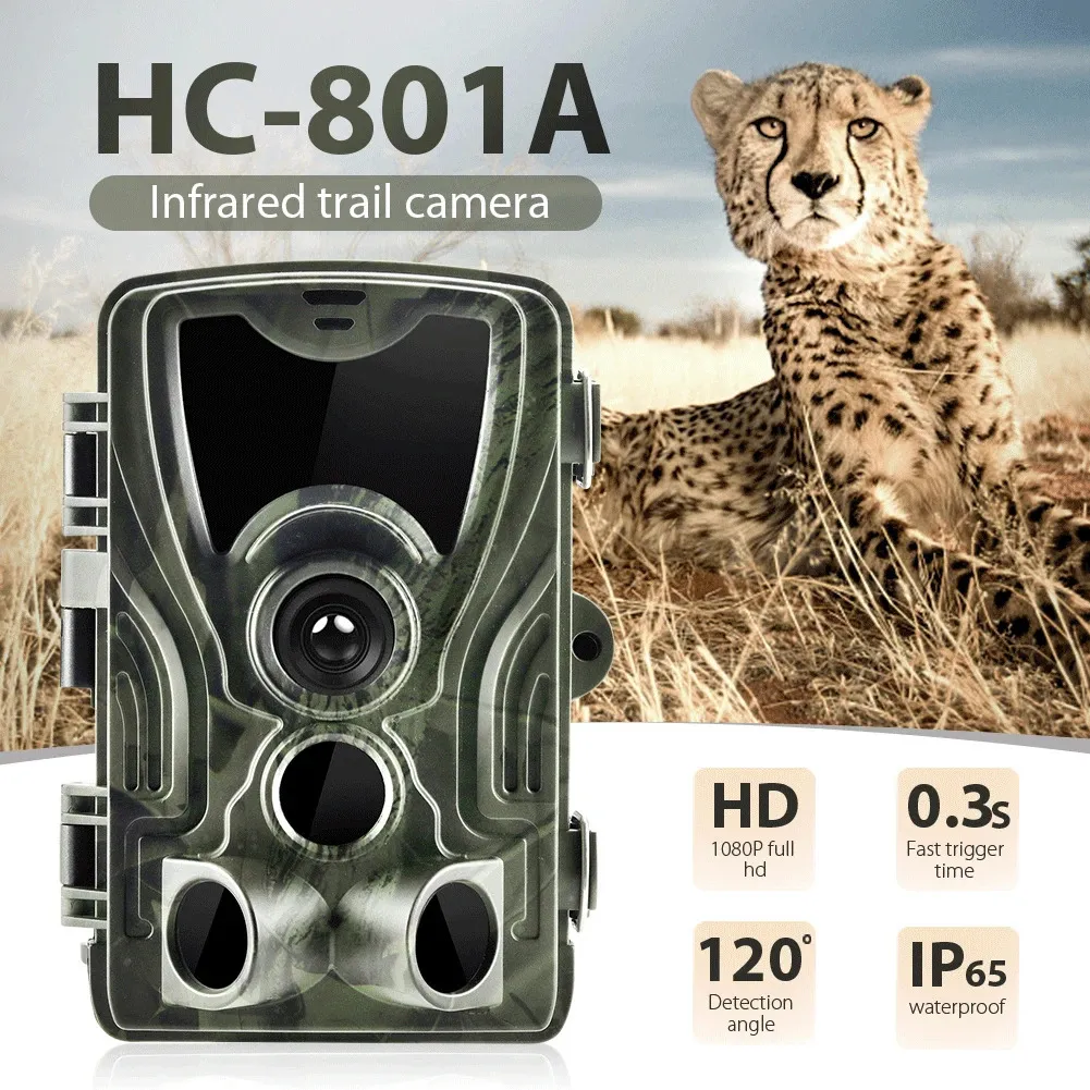 Caméra de chasse et de suivi des sentiers de chasse, écran LCD de 20 pouces, 20mp 1080P, Vision nocturne, étanche, piège Po HC801A, Surveillance sans fil de la faune, 240426