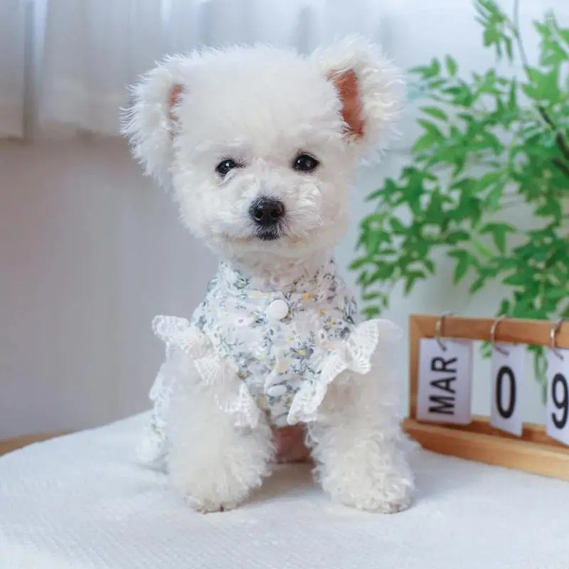 Dog Apparel Cat Dress See-through Breathable Soft Comfortable Elegant Flower Pattern Pet Lace Princess Supplies Wedding