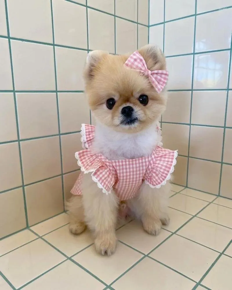 Vêtements pour chien vêtements de chiot robe à carreaux roses