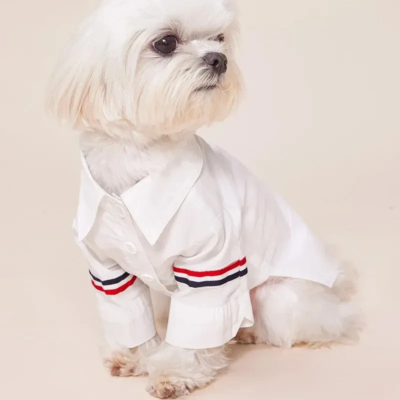 Chemises Stripe Robe Clothing Clothing Chiens Sweet for Dog Clothes Costume Small French Bulldog Imprimer Mignon Summer Blanc Boy Mascotas 240425