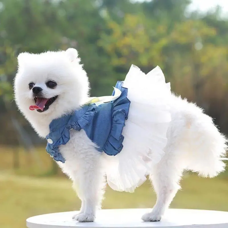 Hundekleidung tragbares Haustierkleid Weichmaschende Kante dekorieren Sommer zweibeinige Kleidung